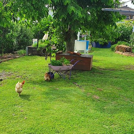 Sustainable B&B By The Bay Brisbane Extérieur photo
