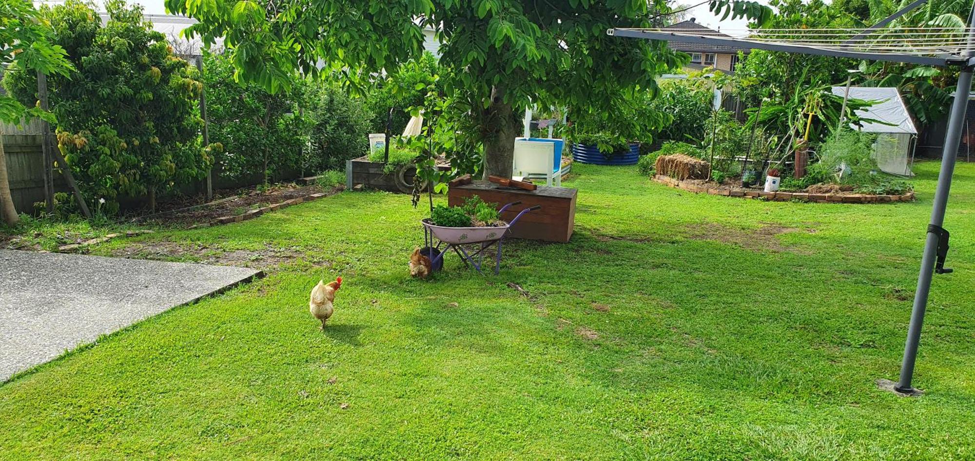 Sustainable B&B By The Bay Brisbane Extérieur photo